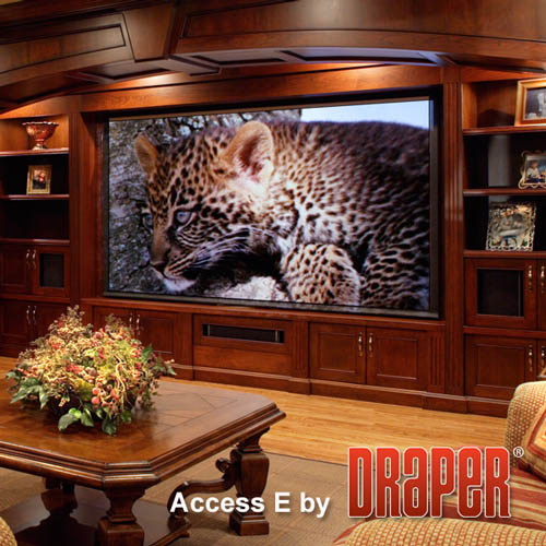 Draper 139034 Access/Series E 184 diag. (90x160) - HDTV [16:9] - Matt White XT1000E 1.0 Gain - [CUSTOM] - Image 7